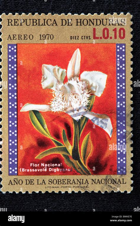 Honduras Postage Stamp High Resolution Stock Photography And Images Alamy