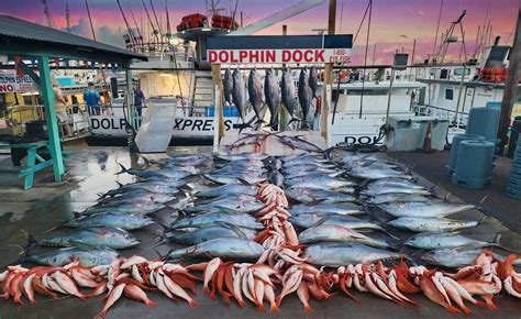 Dolphin Dock Charters - Port Aransas Fishing - Dolphin Docks