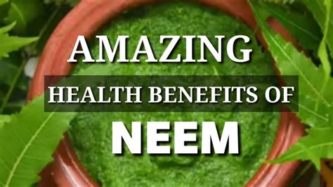 Health Benefits Of Neem In Ayurveda Vedic Tribe