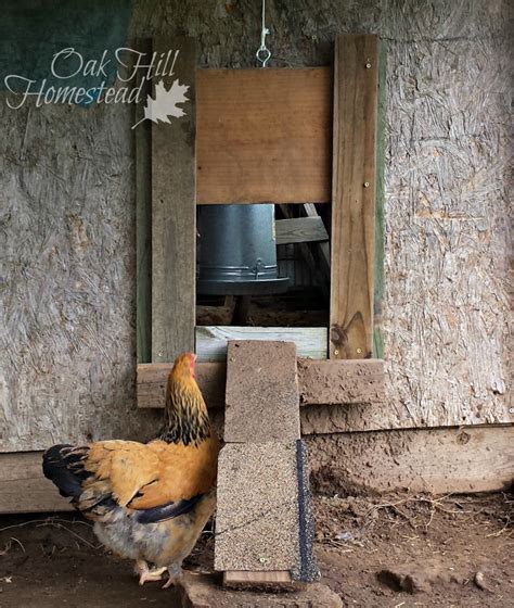 How To Build Sliding Door For Your Chicken Coop Oak Hill Homestead