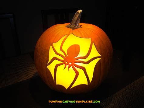 SPIDER PUMPKIN CARVING TEMPLATE DIGITAL DOWNLOAD – PumpkinCarvingTemplates