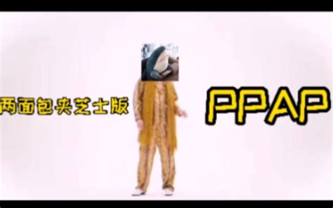 【两面包夹芝士】ppap哔哩哔哩bilibili