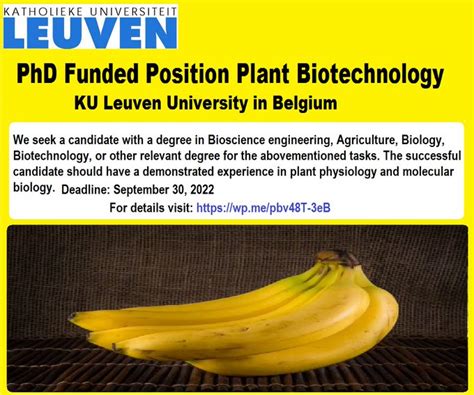 Agristok On Twitter Rt Agristok Phd Funded Position Plant