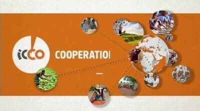 icco cooperation vsae