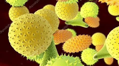 Various types of pollen — Stock Photo © croreja #68448469