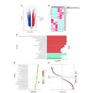 Combined Transcriptomic And Metabolomic Analysis A Venn Diagram Of