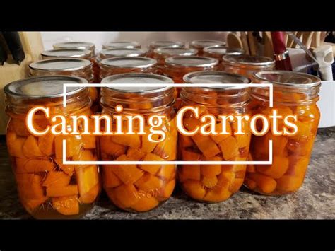 Water Bath For Canning Carrots Recipe : Top Picked from our Experts