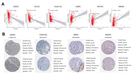 Identification And Validation Of An Immune Related Gene Signature