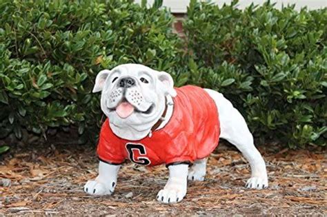 University Of Georgia Uga Painted Garden Statue 20