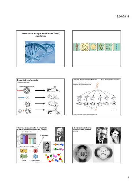 Pdf Microbiologia Geral Introdu O Biologia Molecular Dokumen Tips