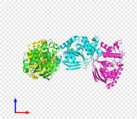 Font Organisme Perhiasan Tubuh Perhiasan Bermacam Macam Teks Pdb