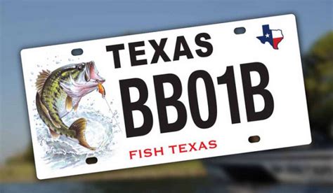 Custom license plate styles available to Texas drivers - Houston Chronicle