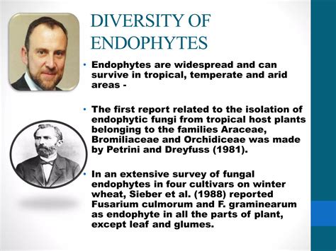 Microbial Endophytes Ppt