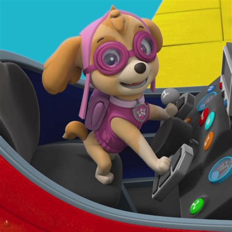 Paw Patrol Seizoen 2 Afl 9 De Pups Redden Ace De Pups Redden Een Bruiloft Volledige