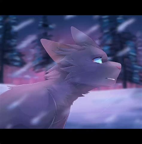 Коты Воители. синяя звезда. вас там не закружило?)) - YouTube