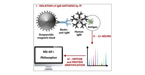 Shotgun Characterization Of The Circulating IgM Antigenome Of An