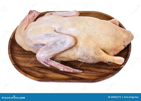 Raw Goose Stock Image Image Of White Farmer Delicious 66866275