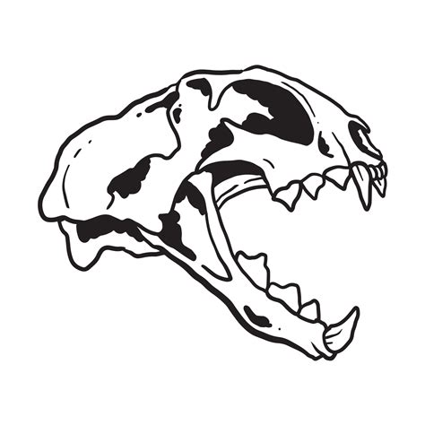 Cat Skull Illustration 14622796 Vector Art at Vecteezy