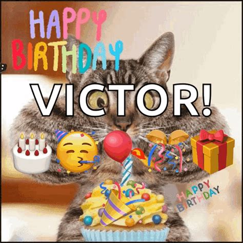 Happy Birthday GIF - Happy Birthday Cat - Discover & Share GIFs