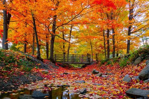 Fascinating Facts About Autumn | Reader's Digest