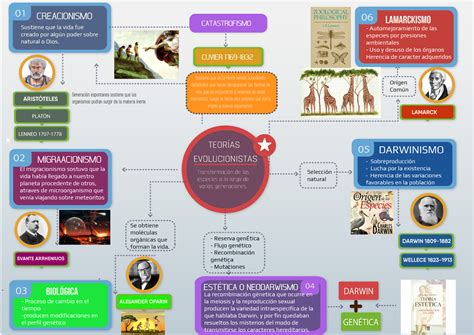 Evolucion Mapa Mental Teor As Evolucionistas Transformaci N De Las