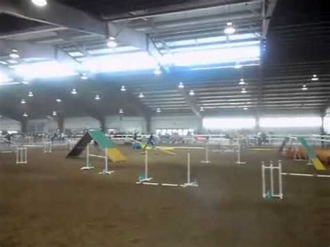 2011 AKC Agility Nationals In Lexington VA FULL MOVIE YouTube