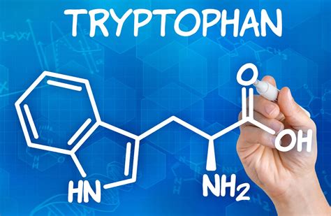 What Is Tryptophan and its many health benefits? - Natty Superstore