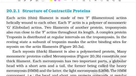 Structure Of Contractile Protein Part 2 Locomotion And Movement Class