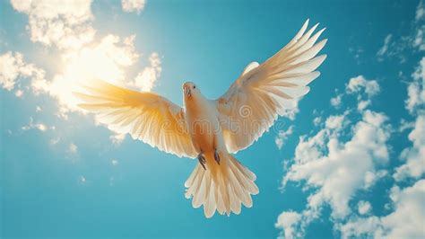 Sulphur Crested Cockatoo Flying And Crying In The Sky Stock Photo