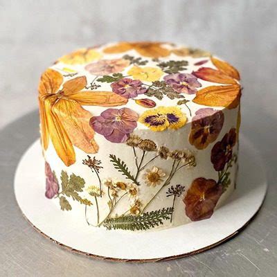 Cake Bloom - Charlottesville Guide