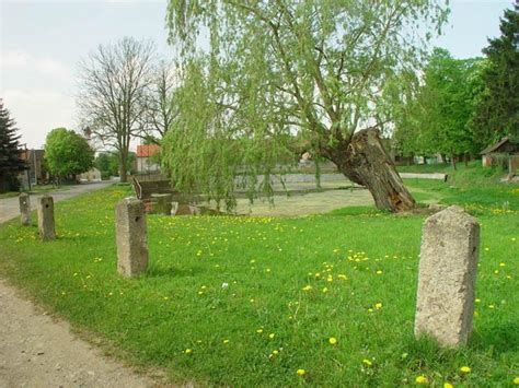 Krupá - Živéobce.cz