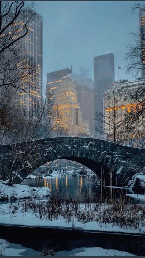 Winter in NYC | Winter in new york, New york photography, New york central