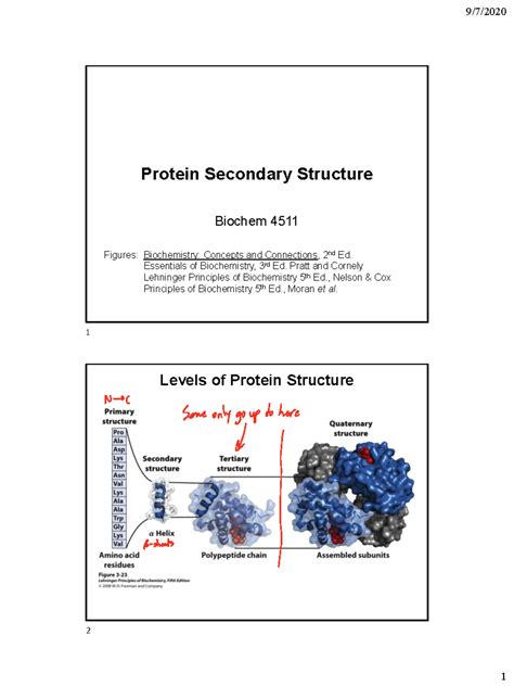 Chapter 6 - Protein Secondary Structure - Protein Secondary Structure ...