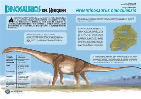 Dinosaurios Del Neuqu N Argentinosaurus Huinculensis M S Neuqu N