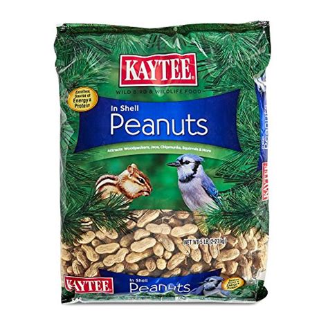 Top 10 Bird Food Peanuts of 2020 | No Place Called Home