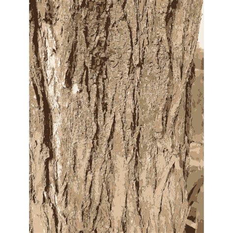 Tree bark texture | Free SVG