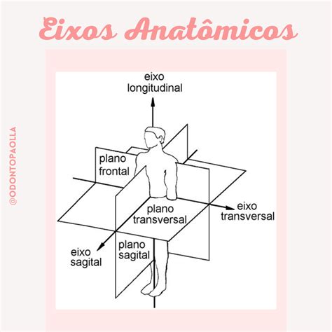 Eixos anatômicos Anatomia I