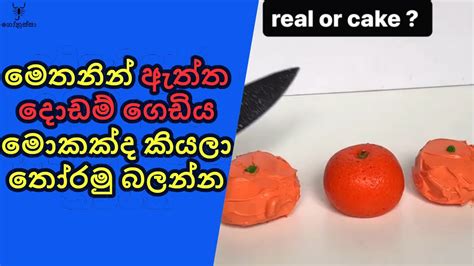 වැඩ්ඩෝ ඉන්නවනම් කියමු බලන්න මොකක්ද ඇත්ත දොඩම් ගෙඩිය කියලා Youtube