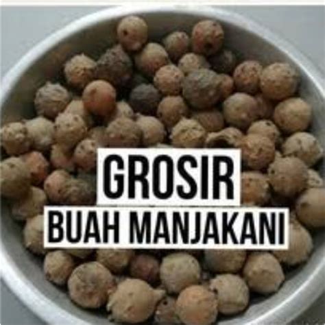 Jual Grosir Buah Manjakani Majakani Herbal Alami 100gr Jakarta Timur