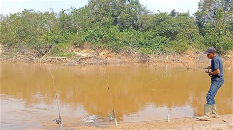 Gak Bisa Tidur Di Buat Nya Berkali Kali Putus Senar Di Hajar Ikan