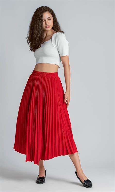 Accordion Pleats Skirts – AASKstore