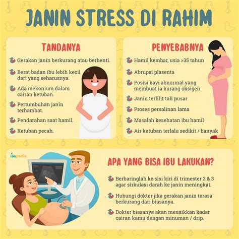 Janin Stress Di Rahim Ibupedia