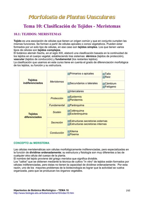 Clasificacion De Bichat Tejidos