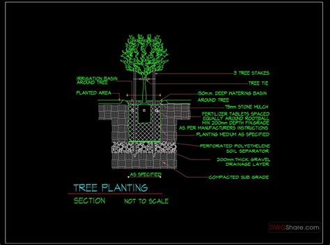 76autocad Drawing Of Tree Planting Details For Free Download