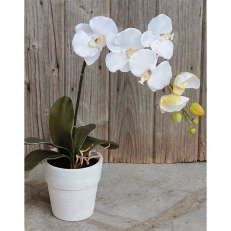 Acheter Des Fleur Artificielle Orchid E Phalaenopsis Tamia En Pot