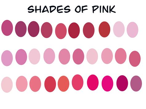 Shades Of Pink Procreate Palette Etsy