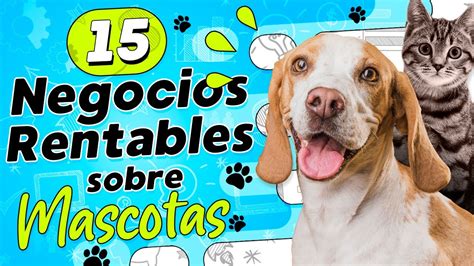 Son Rentables Los Negocios De Pasear Perros