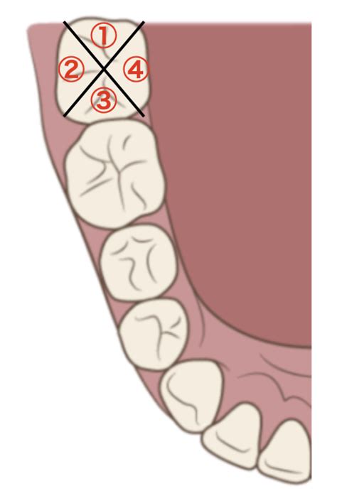 ブログ 国立みんなの歯医者・矯正歯科・小児歯科・歯科口腔外科