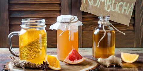 The Science Behind Kombucha Brewing