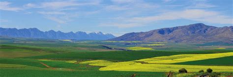 overberg district